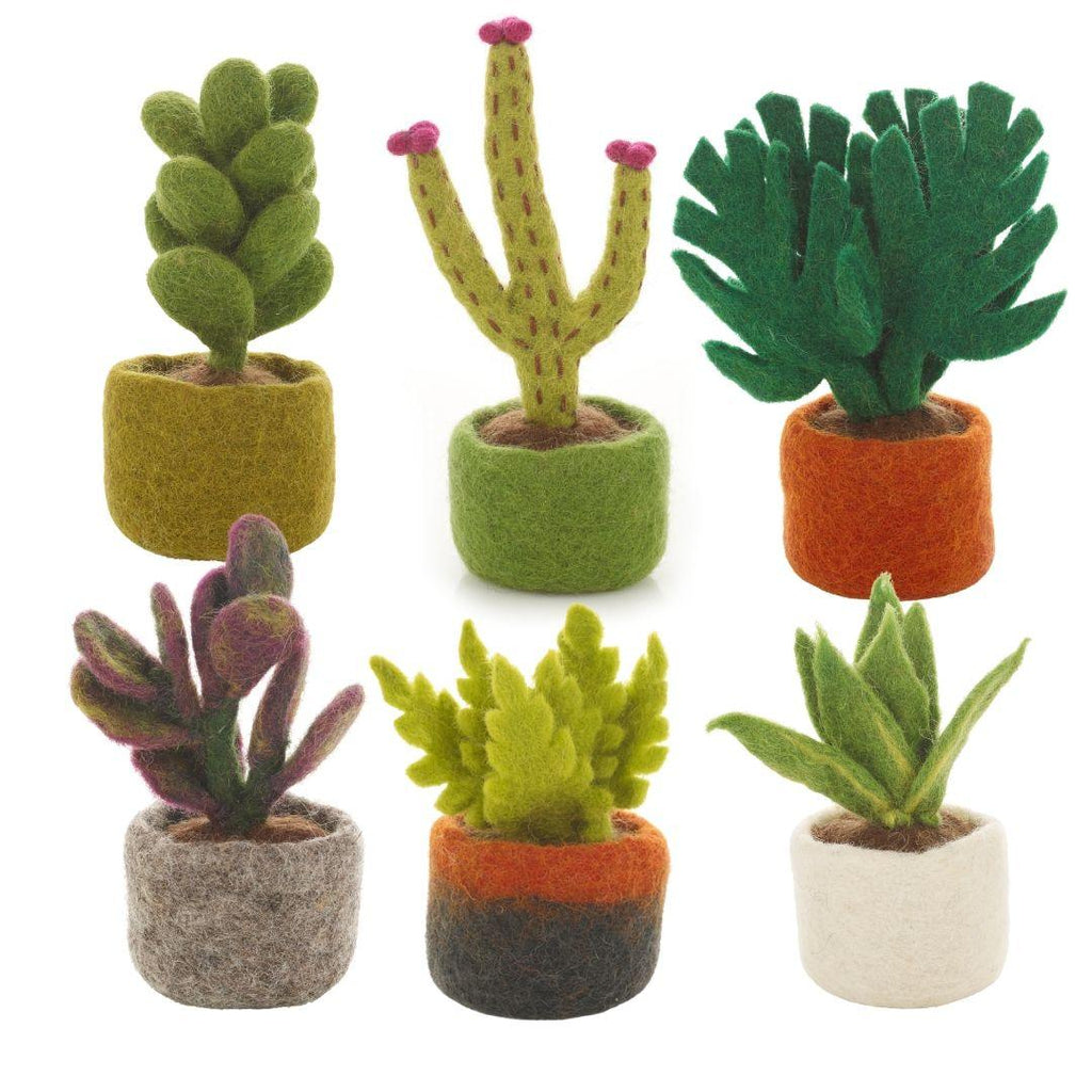 Felt Potted Cactus Plants 6 Assorted Varieties.